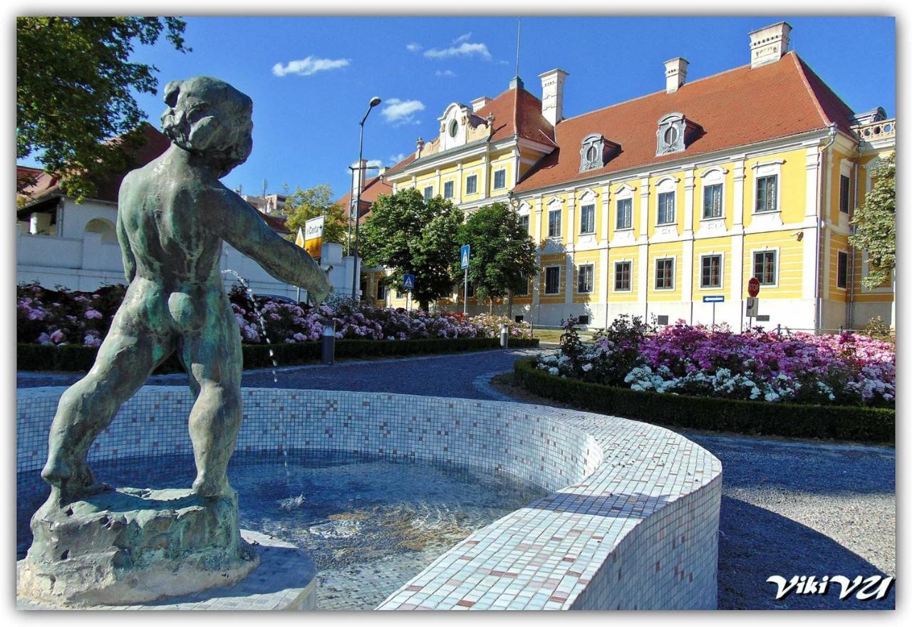 Petros Apartmani Vukovar Exteriér fotografie