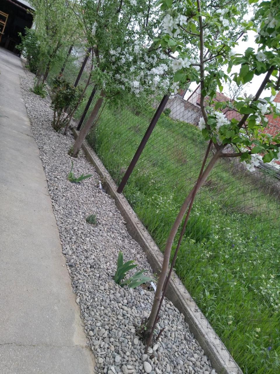 Petros Apartmani Vukovar Exteriér fotografie